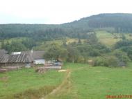 Лужки з panoramio.com