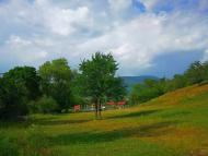 Голубинка з panoramio.com