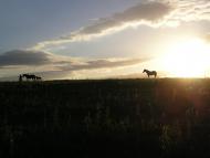 Гончарівка з panoramio.com