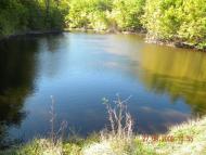 Прохладне - Останні фото