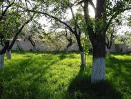 Кролевець з panoramio.com