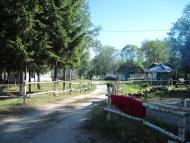 Кияшки з panoramio.com