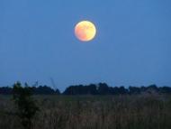 Товкачівка з panoramio.com