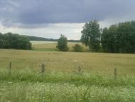 Безкровне - Останні фото