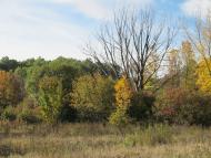 Люботин з panoramio.com (ч.2)