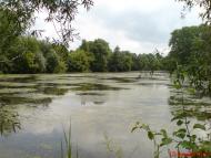 Костянтинівка з panoramio.com