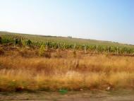 Первомайське з panoramio.com