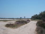 Молочне з panoramio.com