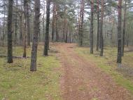 Короп'є з panoramio.com