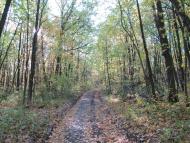 Люботин з panoramio.com (ч.2)