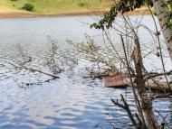 Волоська Балаклія з panoramio.com