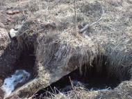 Нестерівці з panoramio.com