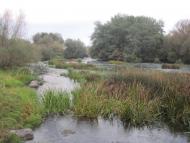 Мала Мечетня з panoramio.com