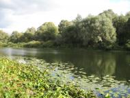 Шестовиця з panoramio.com