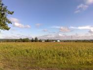 Шабельне з panoramio.com