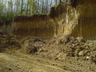 Теребовля з panoramio.com