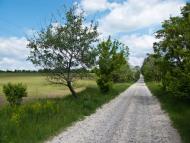 Трощин з panoramio.com