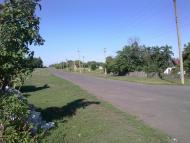 Садки з panoramio.com