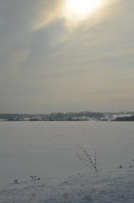 Дмитрушки з panoramio.com