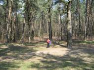 Кожухівка з panoramio.com