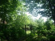 Стуфчинці з panoramio.com