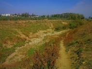 Віліне з panoramio.com