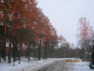 Короп з panoramio.com