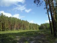 Любимівка з panoramio.com