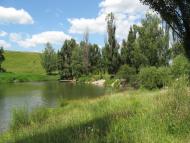 Вільшани з panoramio.com