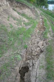 Давидо-Микільське - Останні фото