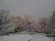 Мусіївка з panoramio.com