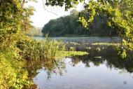 Коропове з panoramio.com
