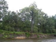 Суслівка з panoramio.com