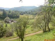 Лужки з panoramio.com