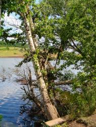 Волоська Балаклія з panoramio.com