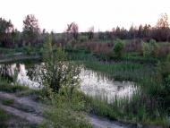 Товкачівка з panoramio.com