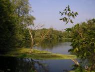 Суха Гомільша з panoramio.com