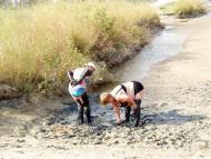 Кошари з panoramio.com