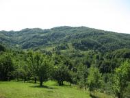 Угля з panoramio.com