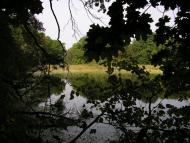 Суха Гомільша - Останні фото