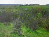 Pryyatne Svidannya - Latest photos