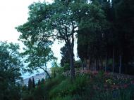 Лазурне з panoramio.com