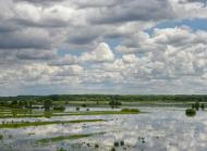 Максим з panoramio.com