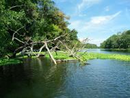 Коропове з panoramio.com
