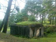 Червоноград з panoramio.com