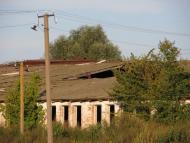 Прохори з panoramio.com