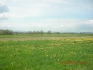 Парище з panoramio.com