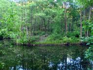 Ківерці з panoramio.com