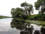 Дідковичі з panoramio.com