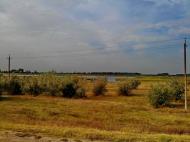 Бехтери - Останні фото